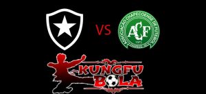 Botafogo Vs Chapecoense