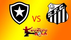 botafogo vs santos