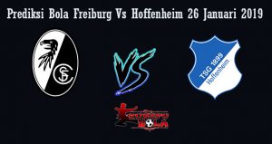 Prediksi Bola Freiburg Vs Hoffenheim 26 Januari 2019